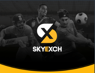 skyexchs.xyz